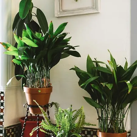 Tatil Evi La Libertad Monesterio