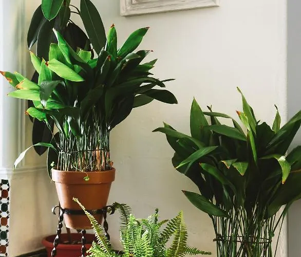 Hébergement de vacances La Libertad Monesterio